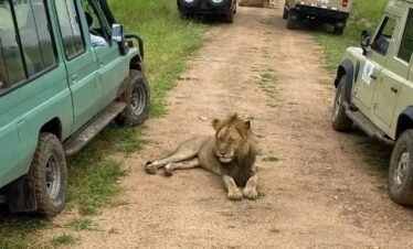 4-DAY ZANZIBAR & MIKUMI SAFARI HOLIDAY PACKAGE
